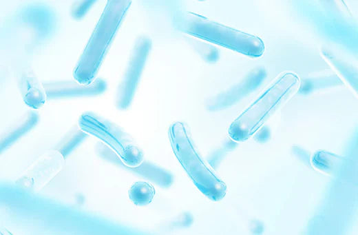 The Benefits of Probiotics: How They Help Your Body
