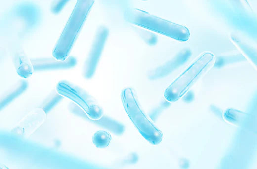 The Benefits of Probiotics: How They Help Your Body