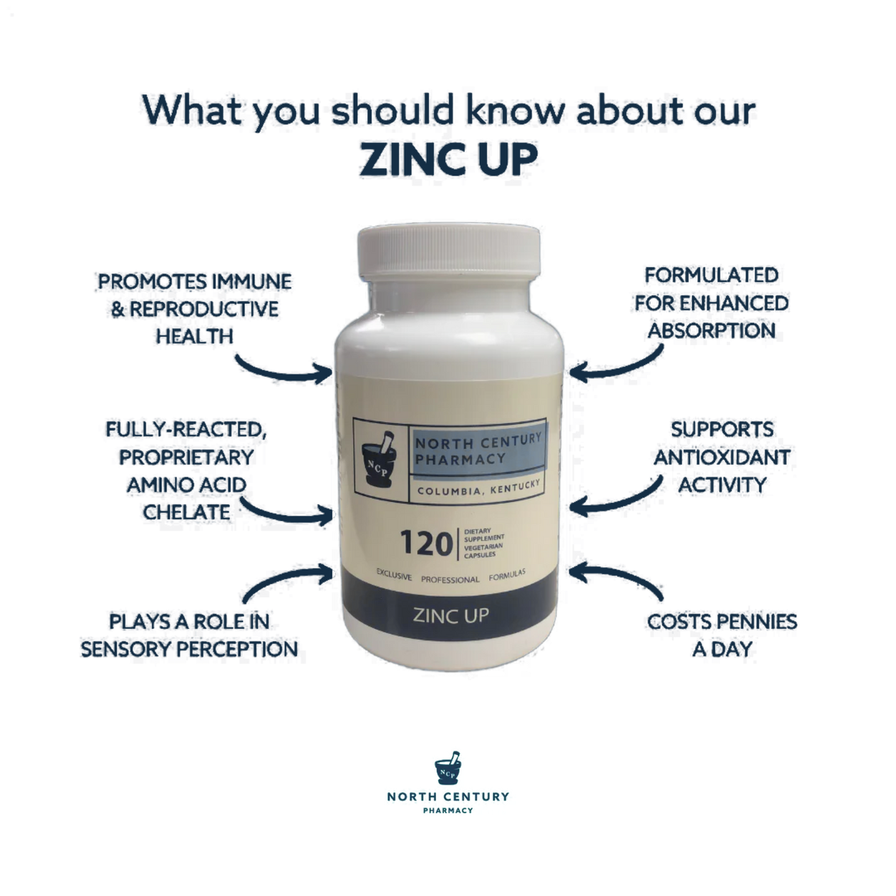 Zinc Up 120 Capsules